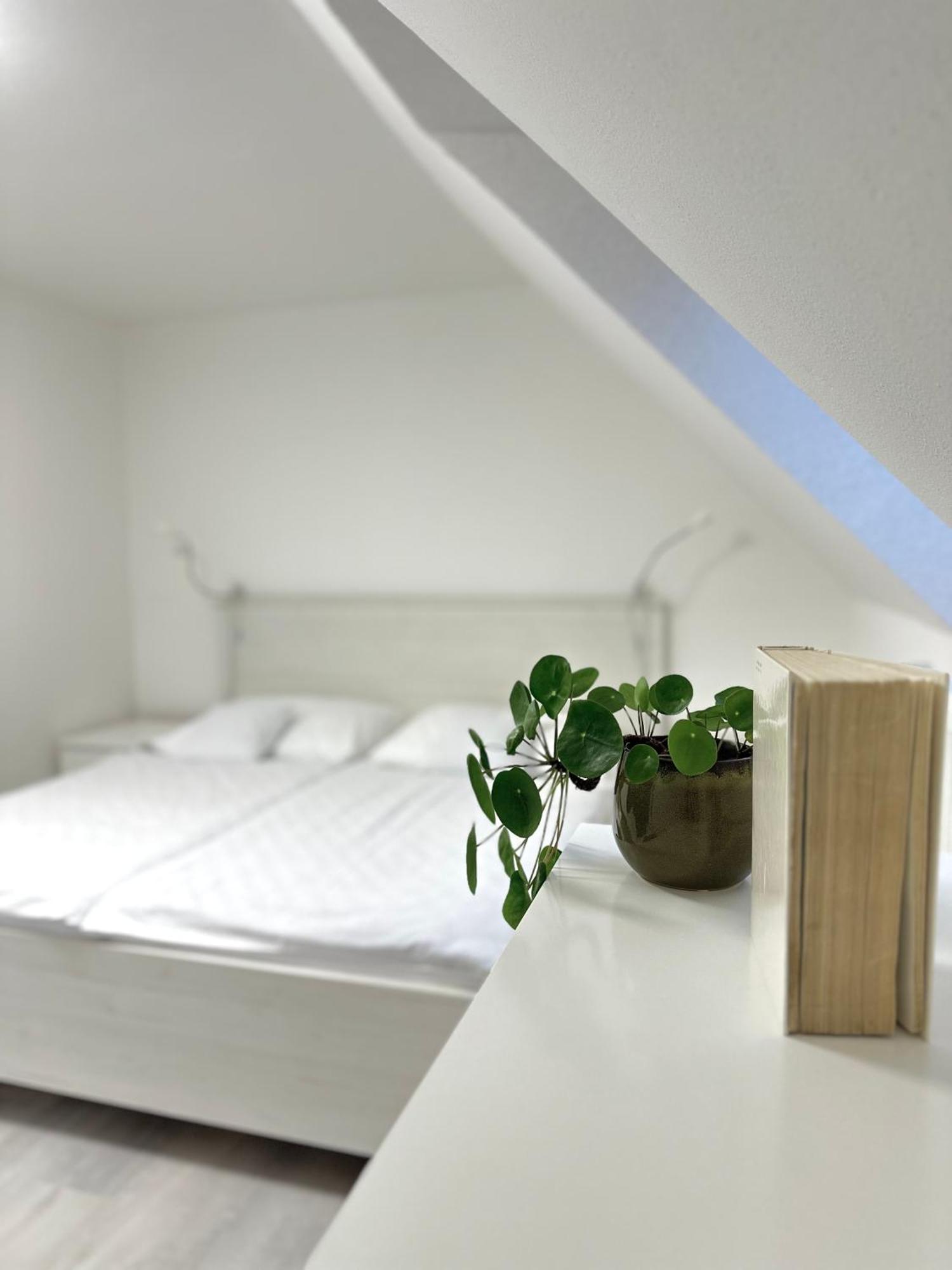 Apartment Nela Pavčina Lehota Extérieur photo